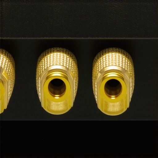 Ground Loop Isolator Construction A small, black plastic audio isolator with gold-plated 3.5mm jacks