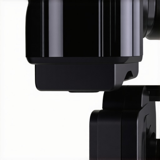 This $15 Plate Keeps Your Camera Balanced on a Gimbal